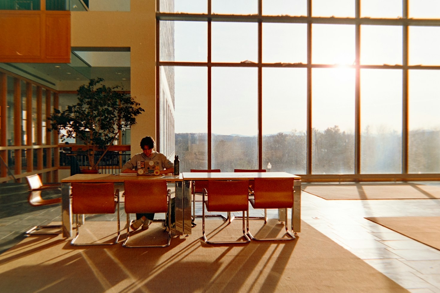 Mastering Digital Publishing in the Modern Era